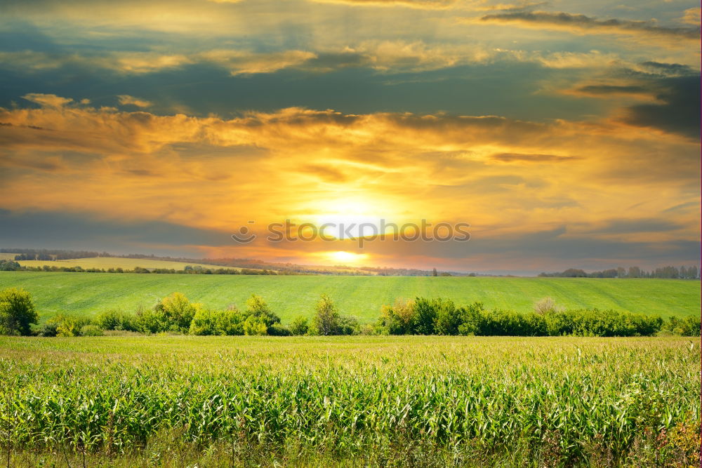 Similar – Straw bales in the sunrise