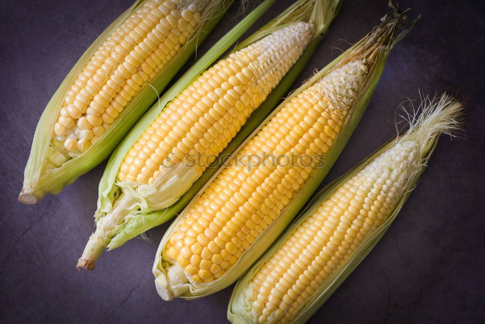 Similar – Cobs of Sweet Corn