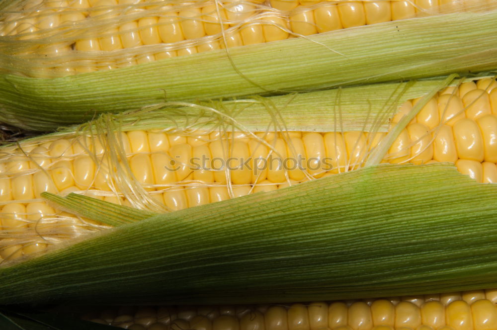 Similar – Image, Stock Photo Analog maize Food