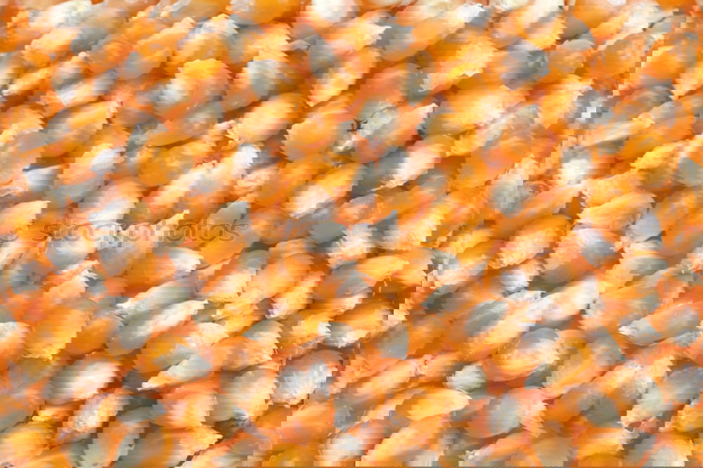 Similar – Image, Stock Photo #A# Popcorn Cinema Art