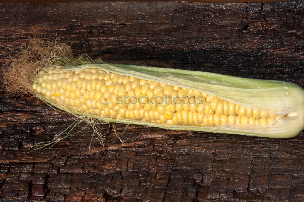 Similar – Cobs of Sweet Corn