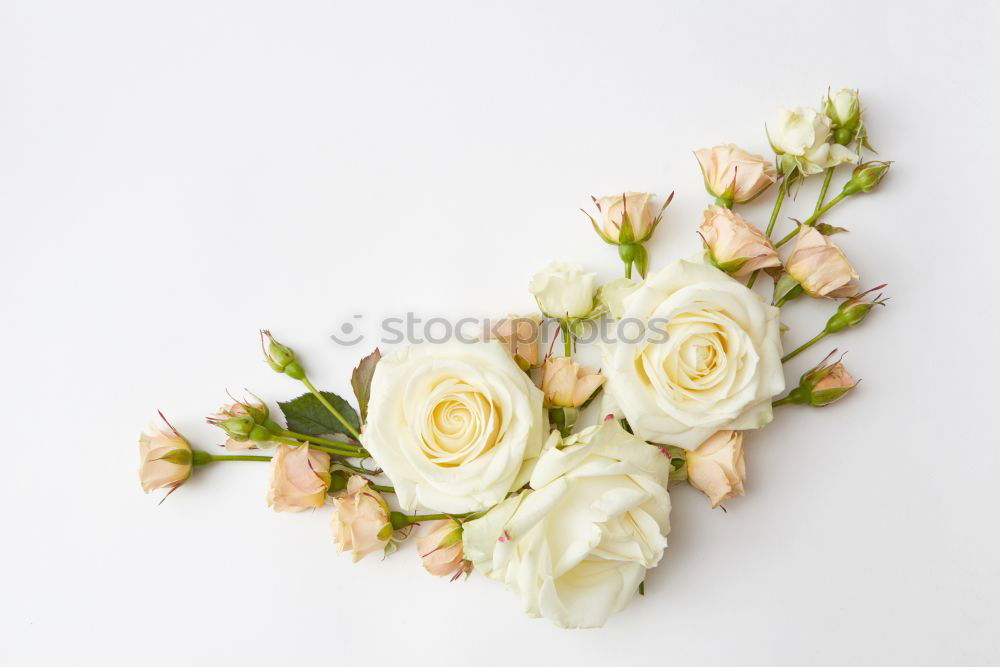 Similar – Shabby Chic Flowers Style