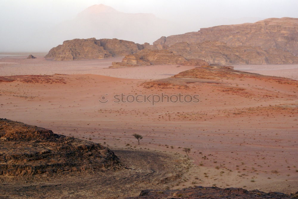 Similar – Image, Stock Photo desert Tree Egypt Desert