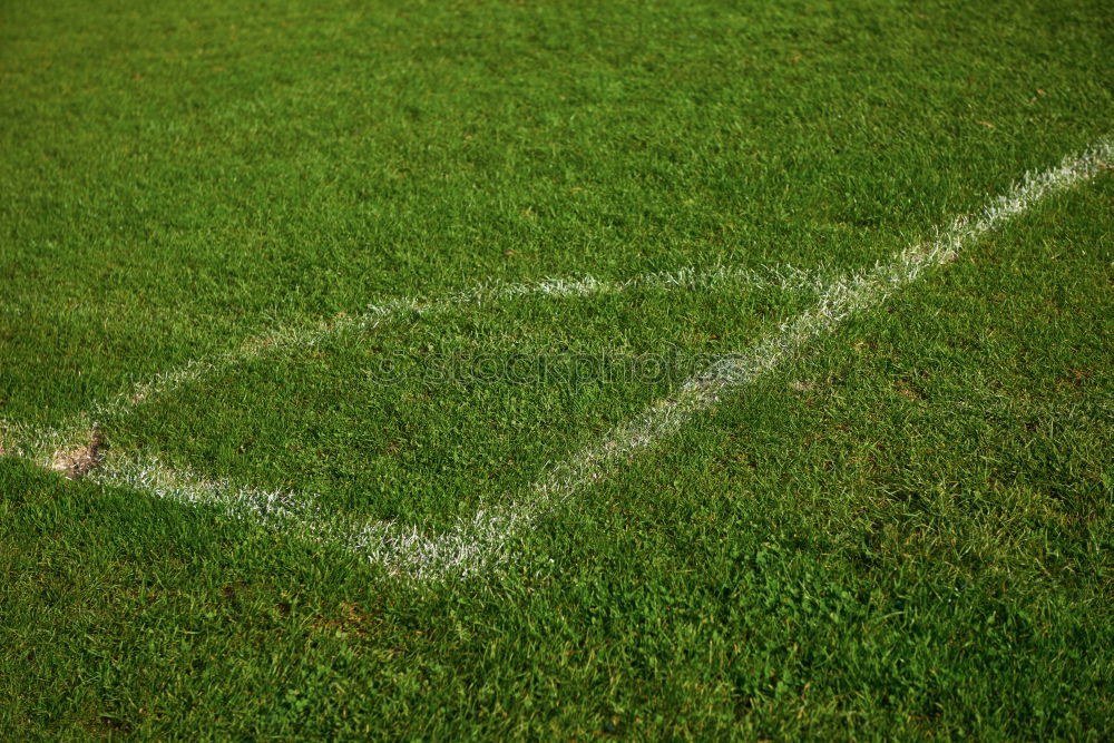 Similar – secret lawn Penalty kick