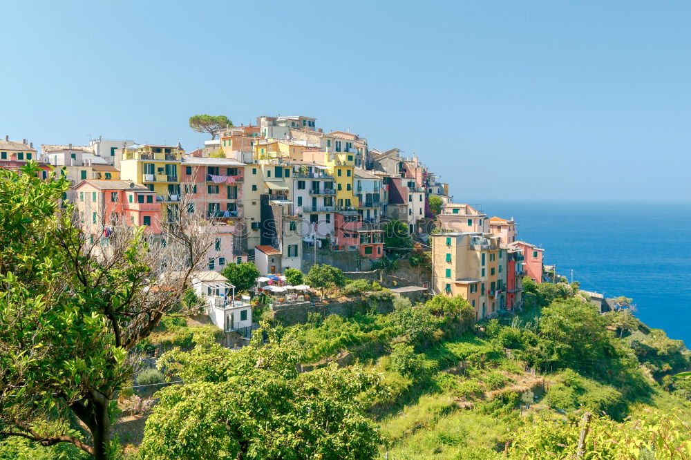 Similar – Image, Stock Photo CINQUE TERRE Village