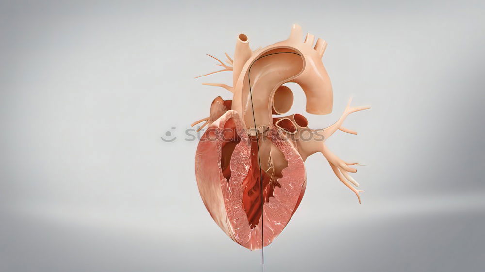 Similar – Image, Stock Photo #AS# Love from the heart