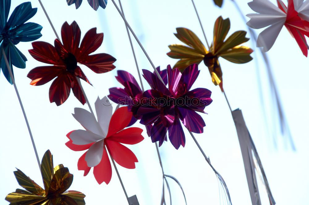 Similar – Image, Stock Photo Under the flowers l Flower