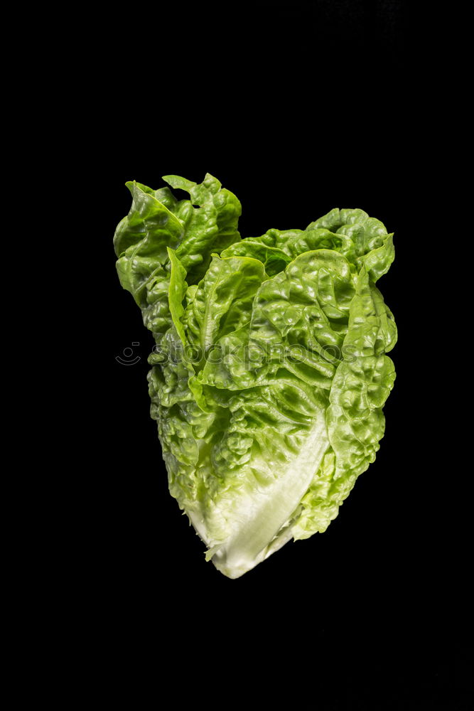 Image, Stock Photo Fresh cabbage on table