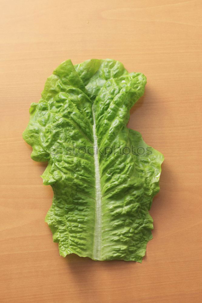 Similar – Image, Stock Photo savoy cabbage Food