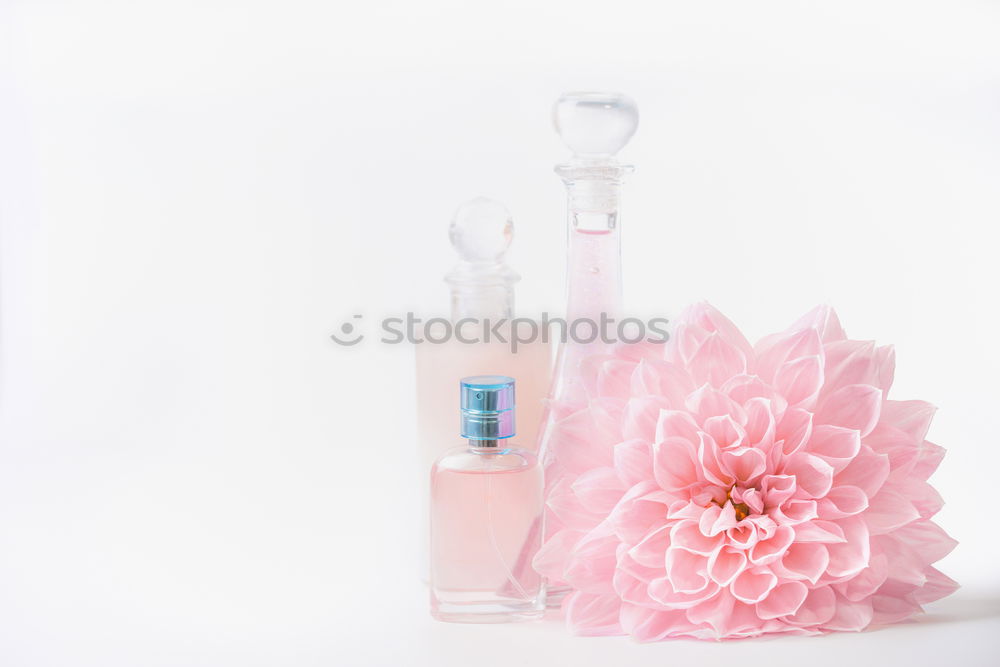 Similar – Image, Stock Photo Cosmetic bottles with pastel pink flower