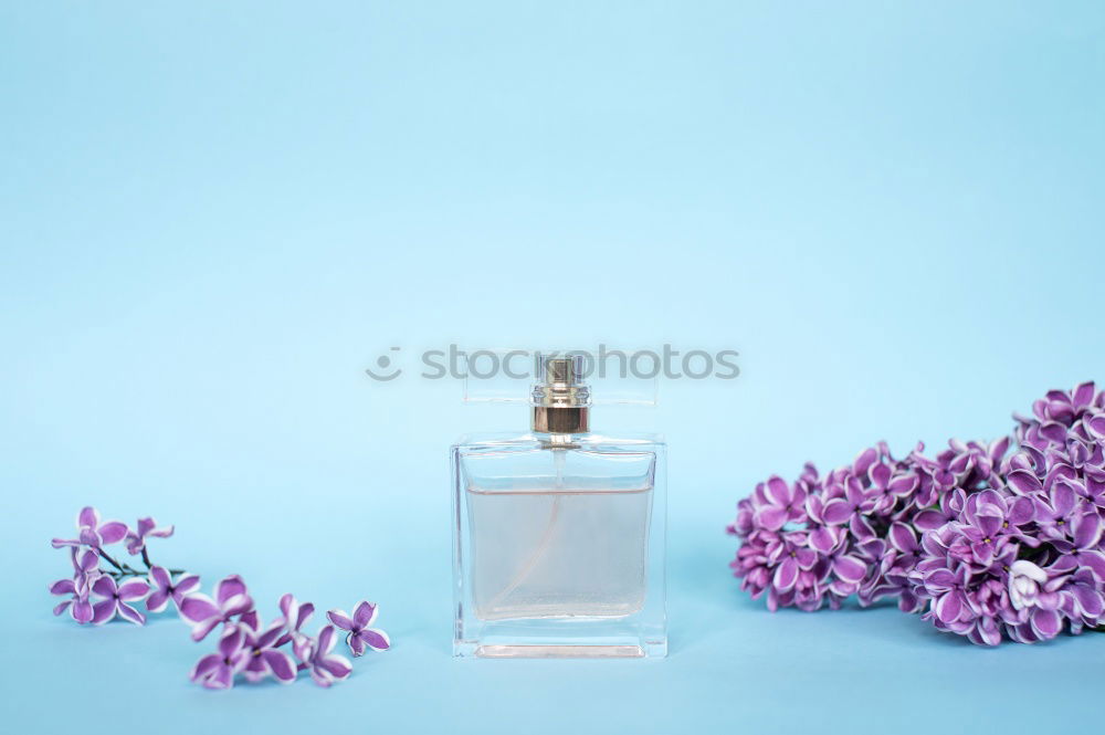 Similar – Image, Stock Photo Floral perfume bottle with plants and flowers