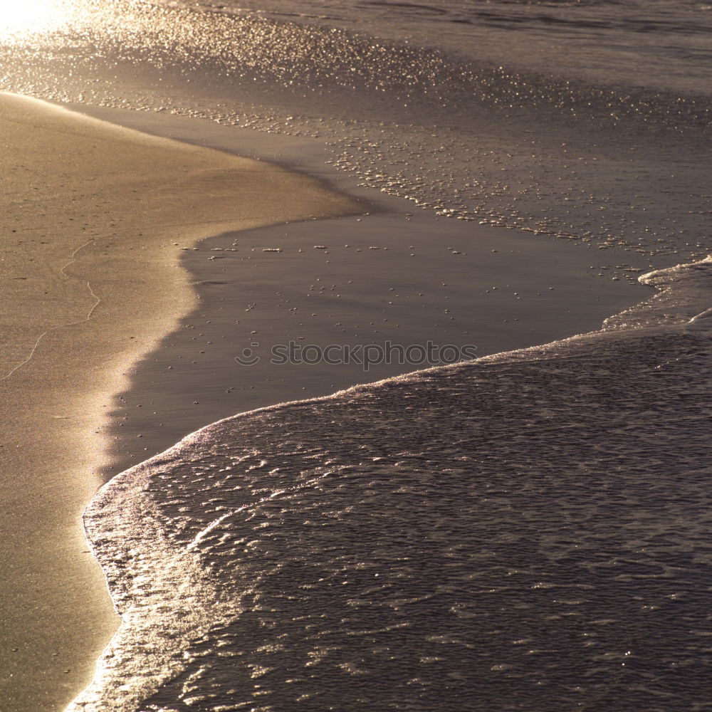 Similar – Boy at the sea Boy (child)