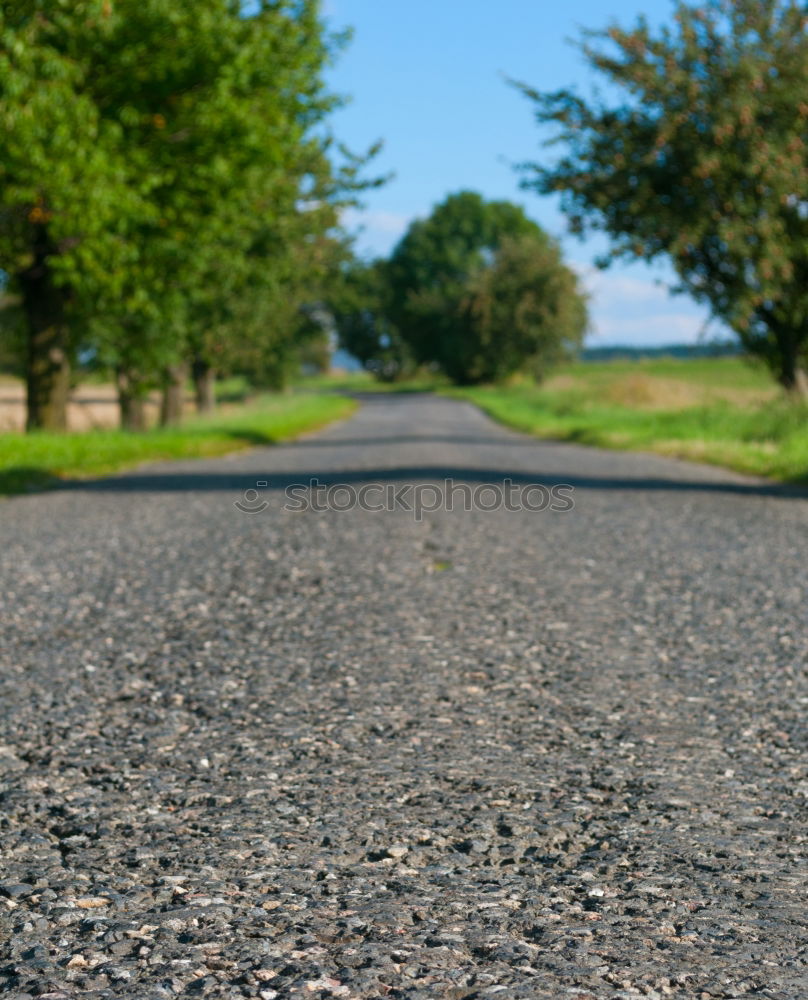 Similar – Image, Stock Photo curro Hiking Field