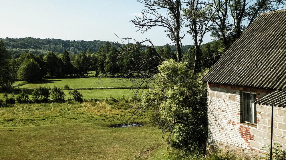 Similar – Foto Bild erntezeit in chamansülz