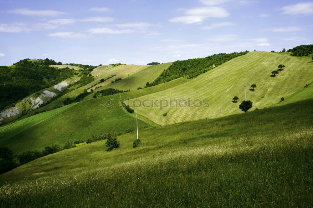 Similar – Image, Stock Photo Tuscany Harmonious Calm