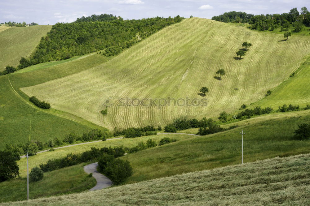 Similar – Misty hill Hill Fog Green