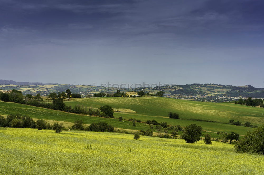 Similar – Image, Stock Photo in the Ländle Nature