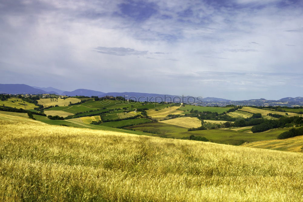 Similar – Image, Stock Photo Winding paths with cypress trees between the green fields.