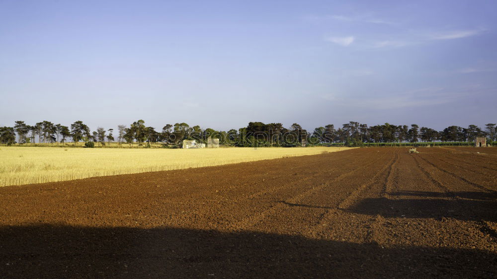 Similar – tele Country road Summer