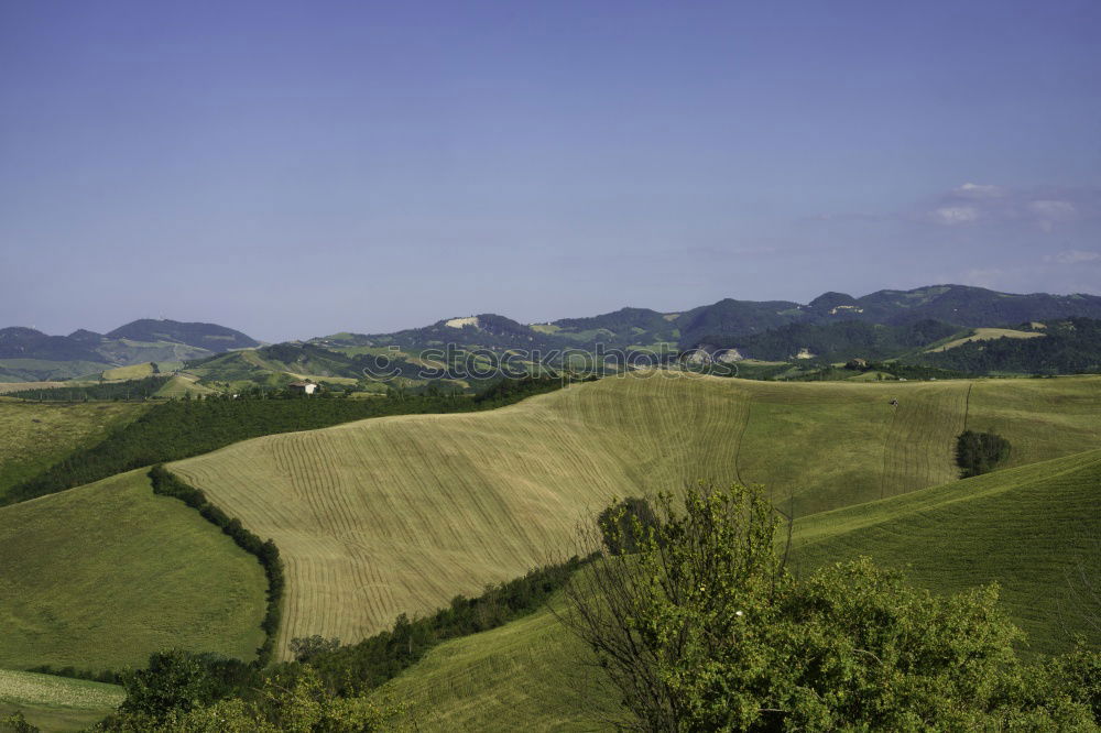 Similar – Image, Stock Photo tea with view