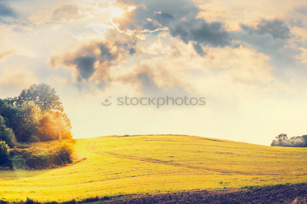 Similar – herbstmorgen Natur