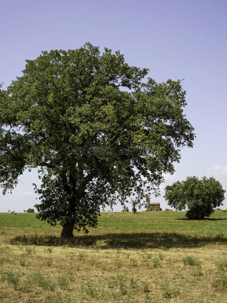 Similar – half shadow and half chimney