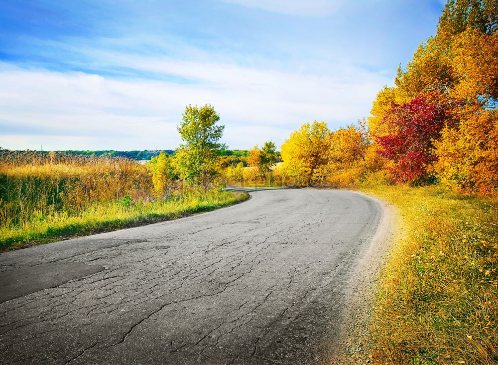 Similar – Image, Stock Photo Aerial view on countryside road. Straight road view from above.