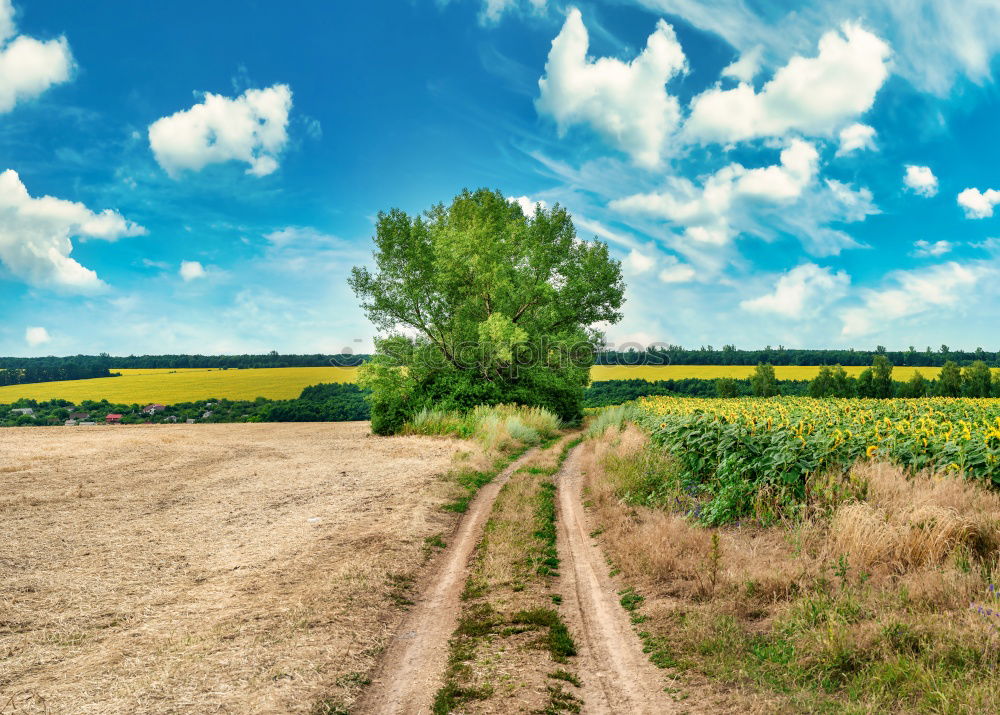 Similar – Image, Stock Photo Kaiserstuhl Tourism Trip