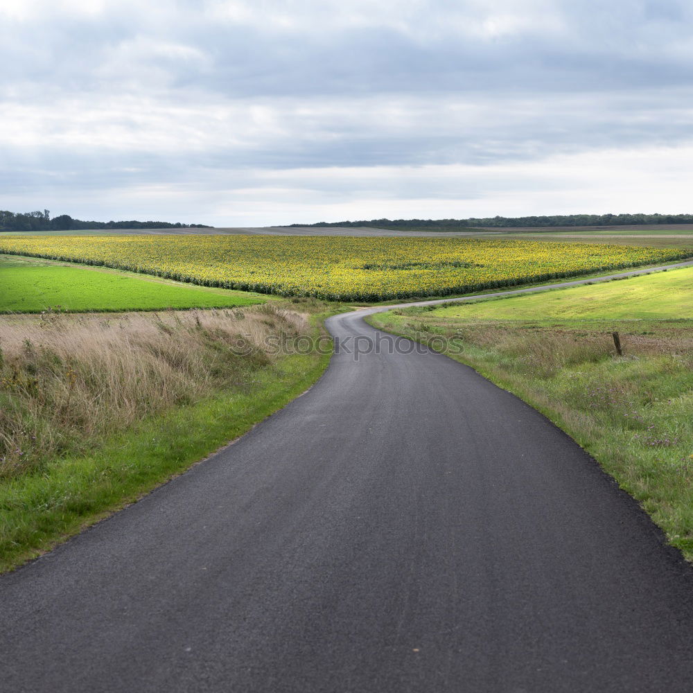 Similar – Foto Bild Weg Ferne Meer Natur