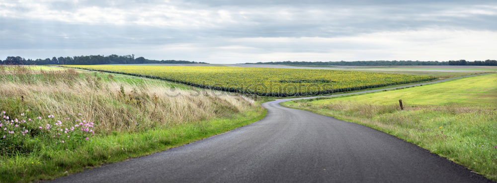 Similar – Foto Bild feldweg wandern Erholung