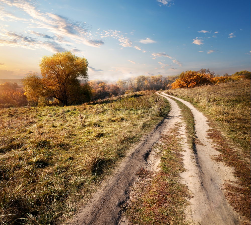 Similar – Image, Stock Photo Aerial view on countryside road. Straight road view from above.