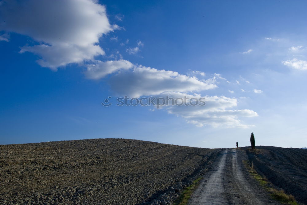 Similar – Foto Bild Der Weg Wiese schön