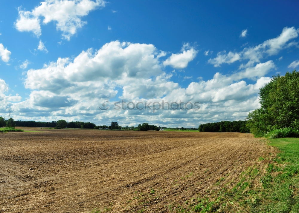 Similar – Image, Stock Photo field after the yield of wheat