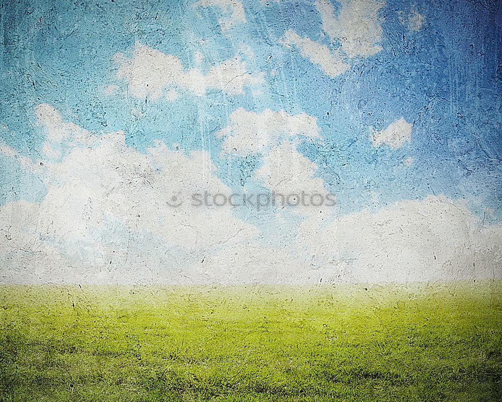 Similar – Sommerbrise Feld Wolken