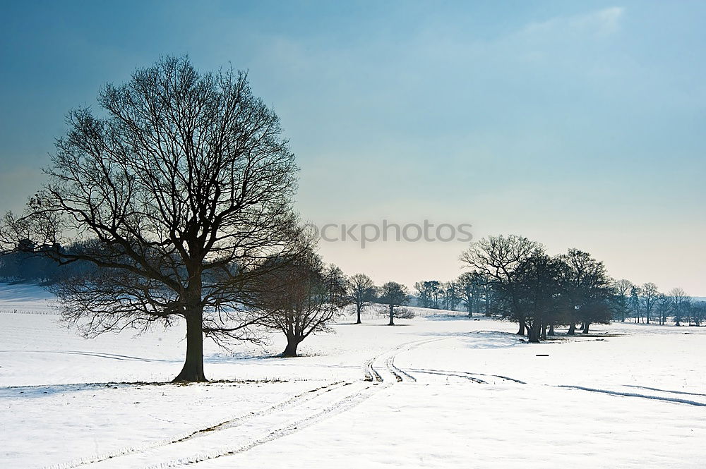 Similar – Foto Bild Winterbild Sonnenuntergang