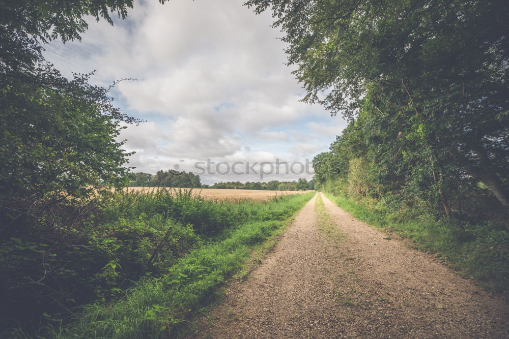 Similar – Image, Stock Photo Bike restriction sign in a park in autumn