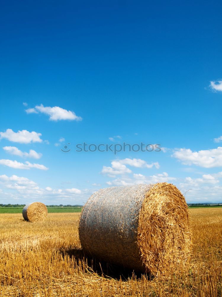 Similar – straw bale Hay bale Summer