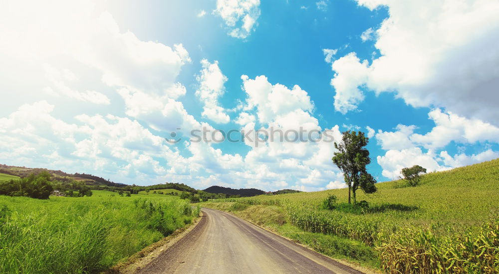 Image, Stock Photo Slag heap of the mining industry in the Mansfeld mining district at the end of a tree-lined country road