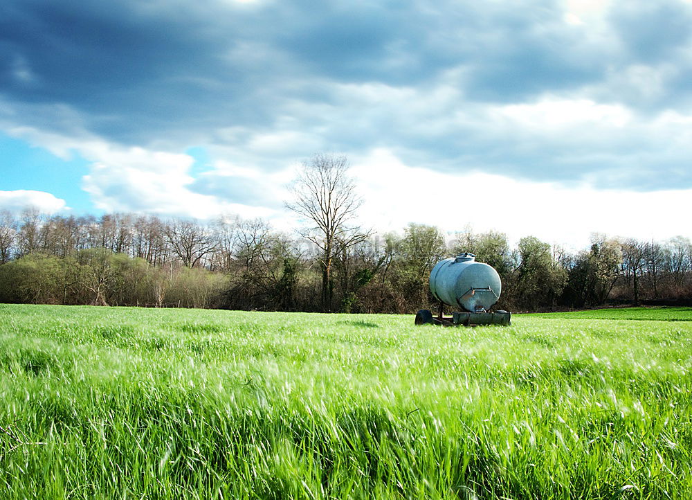 Similar – Image, Stock Photo Cuban Prairie