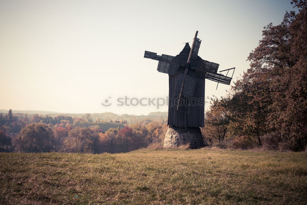 Similar – Foto Bild Denkwürdiger Ort Baum