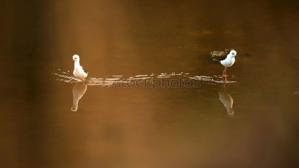 Similar – Image, Stock Photo The Past. Art Work of art