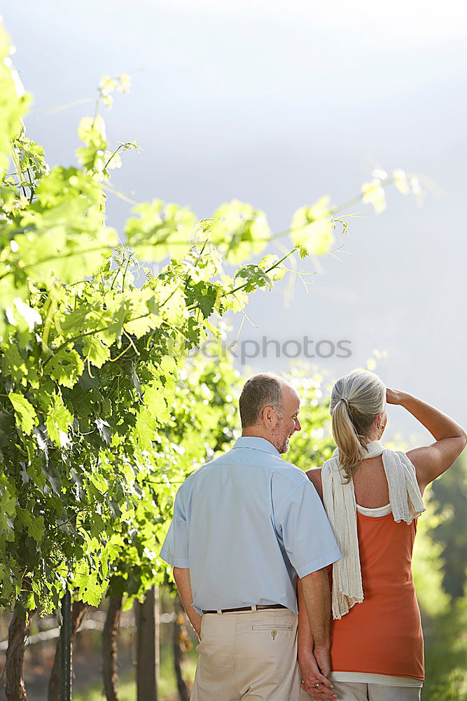 Similar – A couple of senior citizens sitting relaxed on a bench in the vineyard and enjoying the view