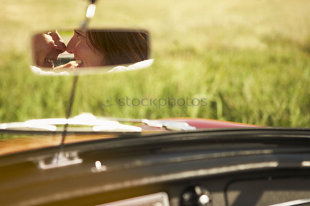 Similar – Image, Stock Photo Because a swallow…