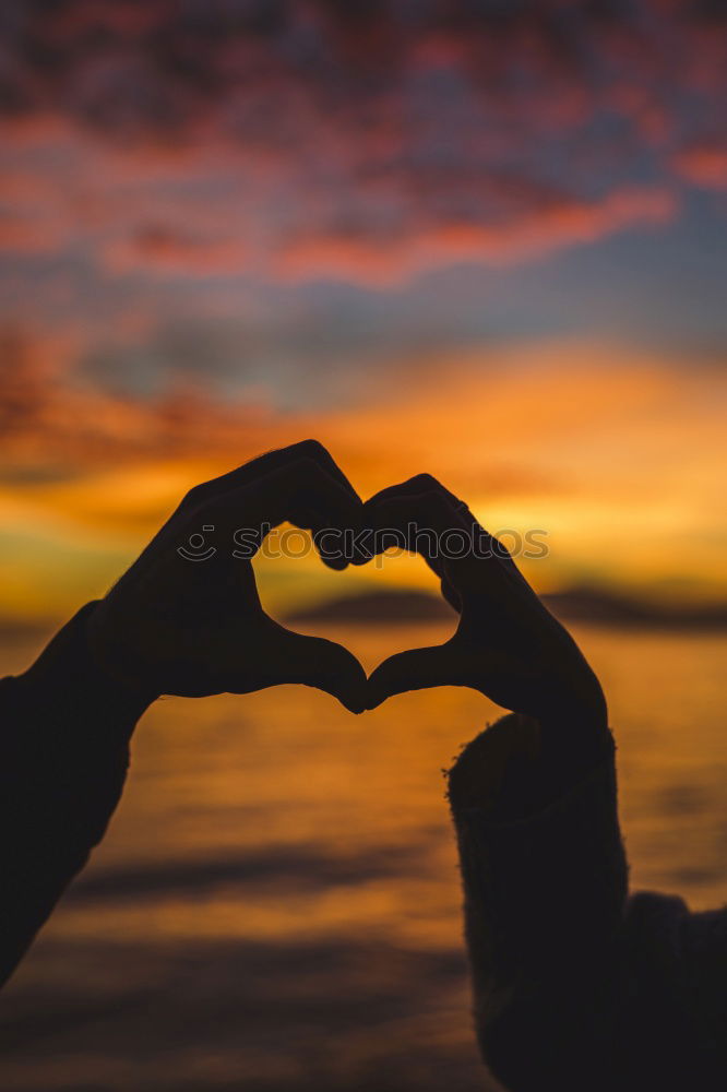 Similar – Image, Stock Photo Sunset heart Joy Beautiful