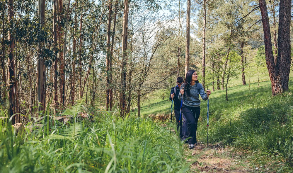 Couple of hikers doing trekking