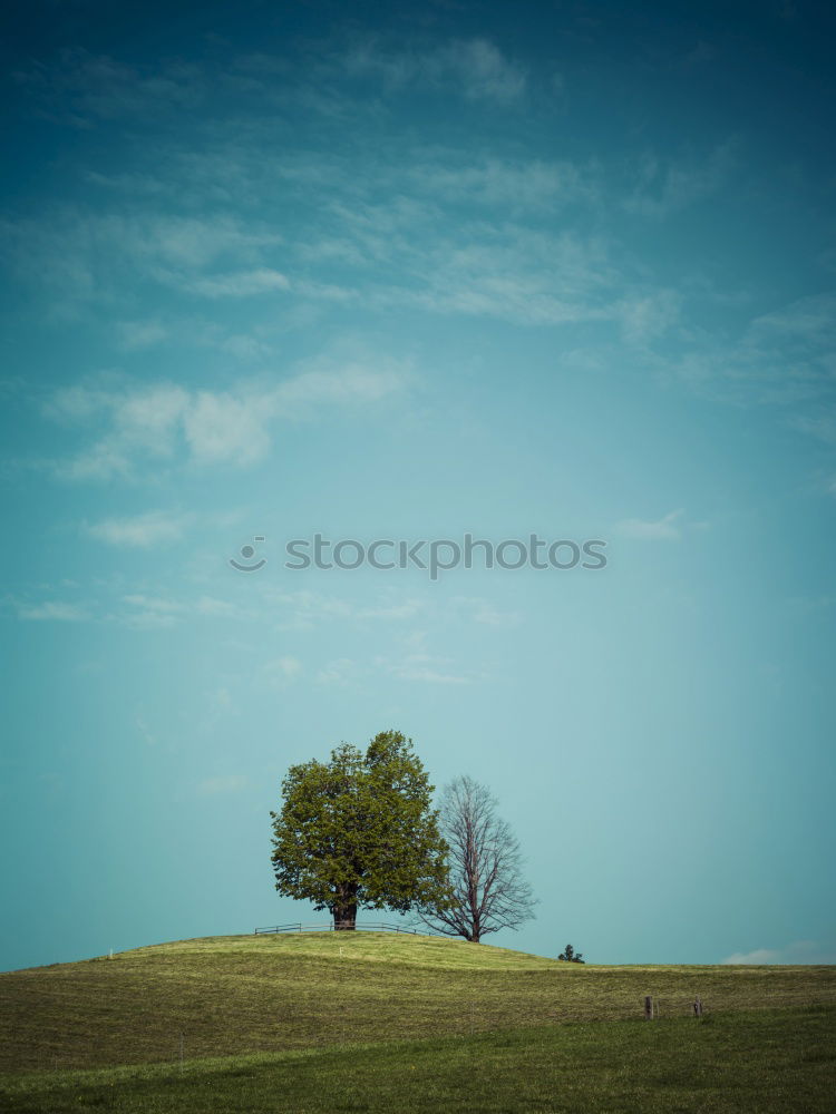 Similar – Horses in front of an idyllic hill