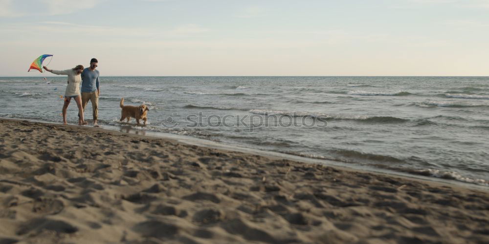 Similar – Image, Stock Photo Woman plays ball throwing with blond Labrador at Baltic Sea beach