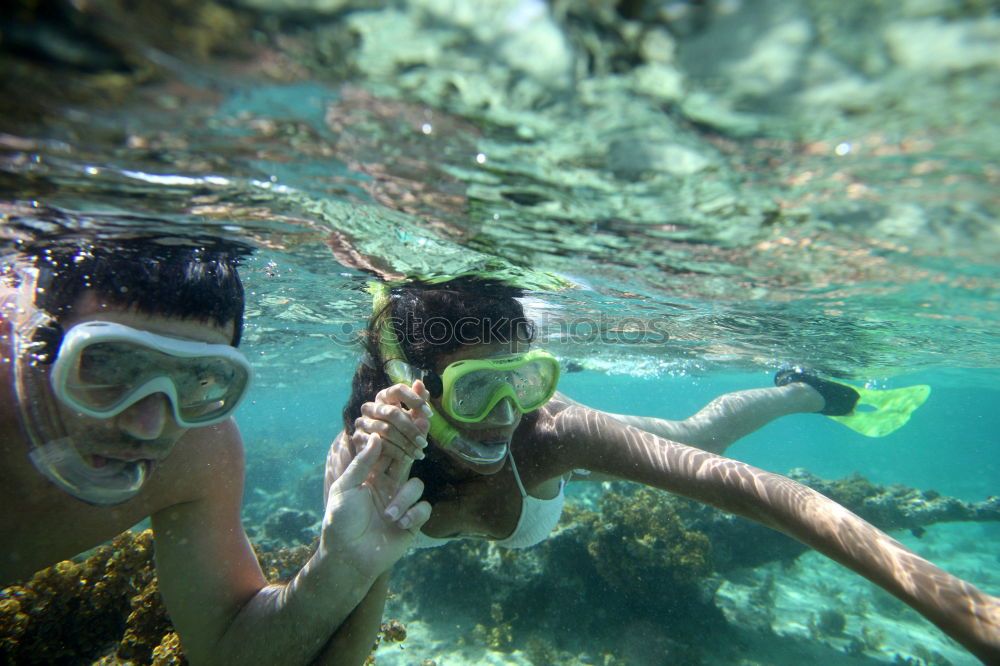 Similar – submerged Diver Man Woman