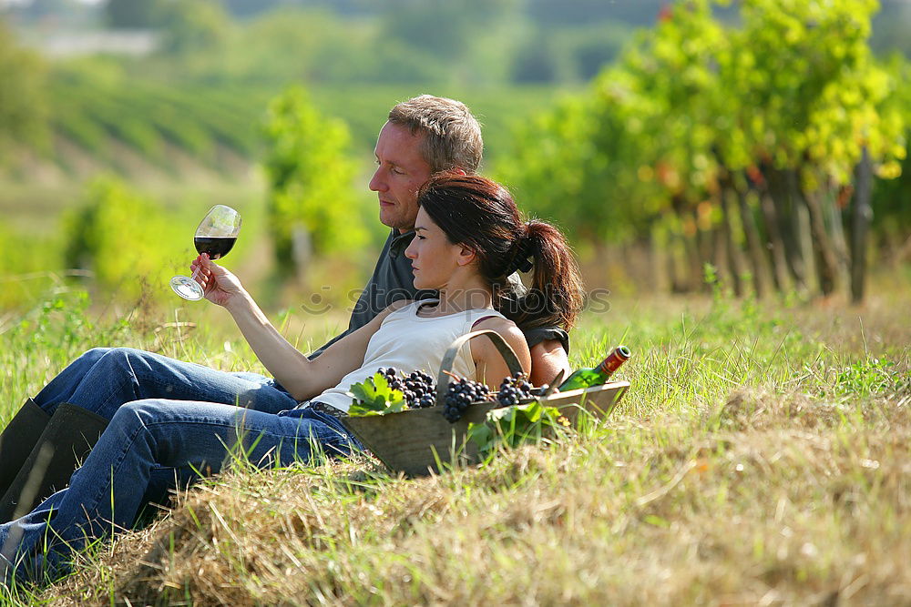 A couple of senior citizens sitting relaxed on a bench in the vineyard and enjoying the view