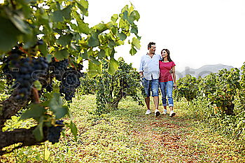 Similar – A couple of senior citizens sitting relaxed on a bench in the vineyard and enjoying the view